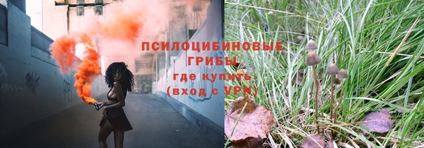 гидропоника Инсар